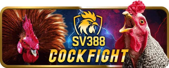 Kèo Meron gà nhà cái 13wim Code